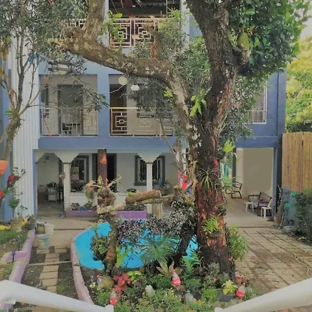 Purple Orchid Bed And Breakfast